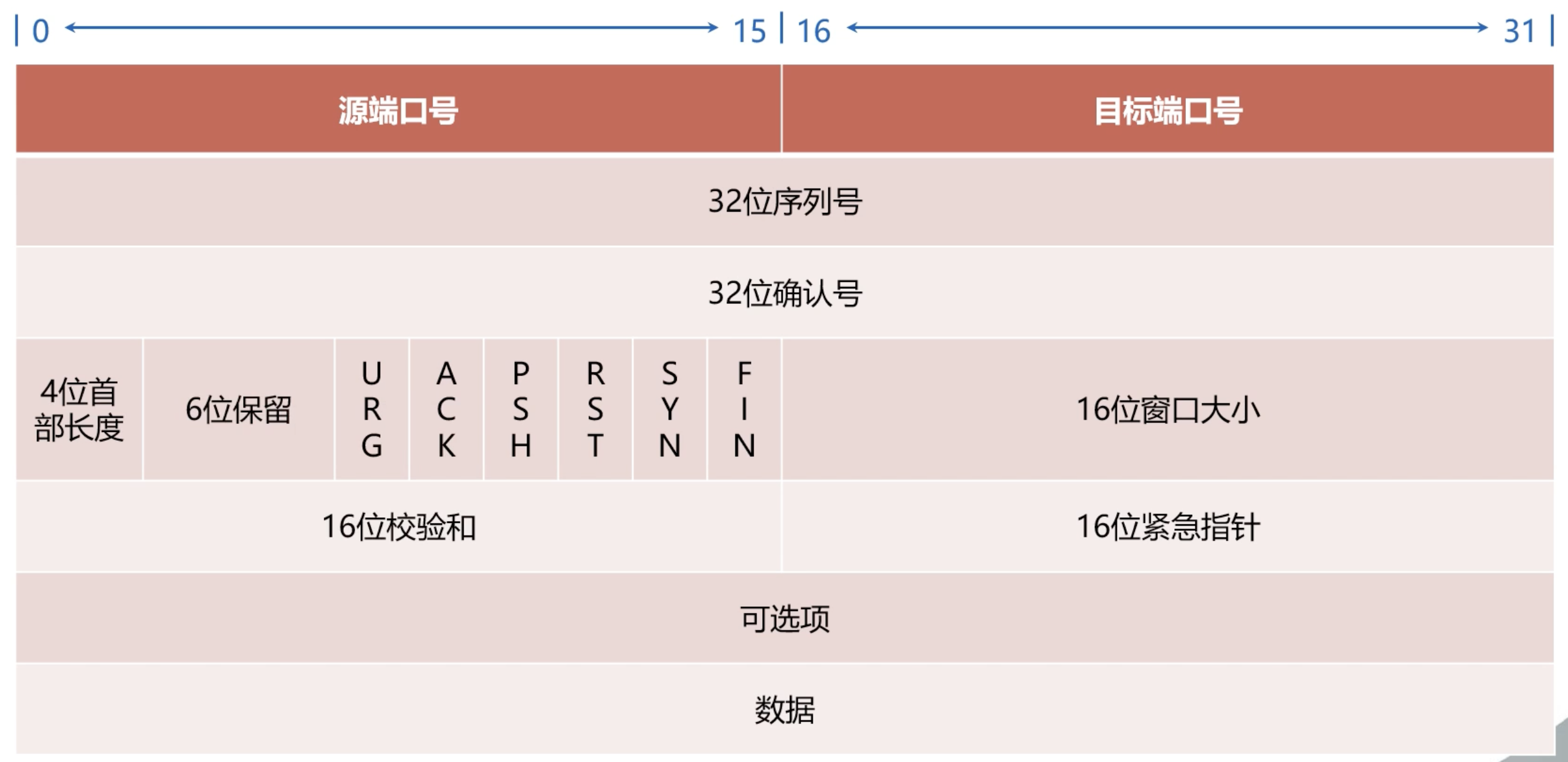 TCP的封装格式